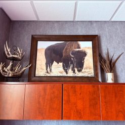R Images Buffalo